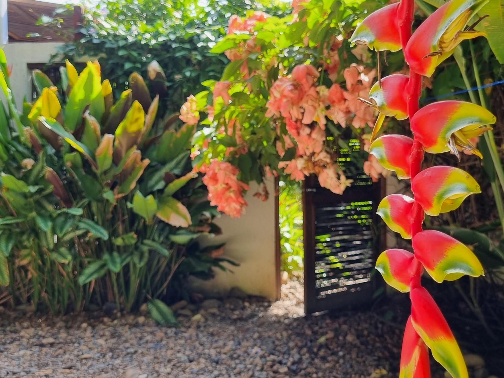 パロミノ Casas La Floristeriaヴィラ エクステリア 写真
